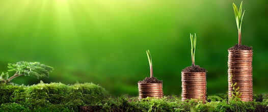Young Plants Growing Out Of Stacks Of Coins In Lush Mossy Garden - Investing / Business Success Concept